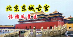 肏美女毛绒绒的屄中国北京-东城古宫旅游风景区
